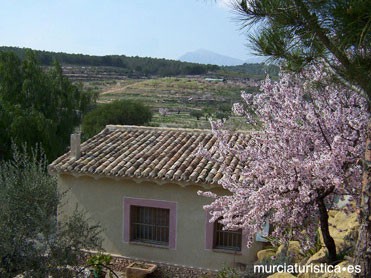 El Mirador de Gebas · Casas rurales