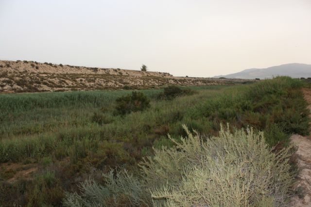 Paisaje Protegido Saladares del Guadalentín